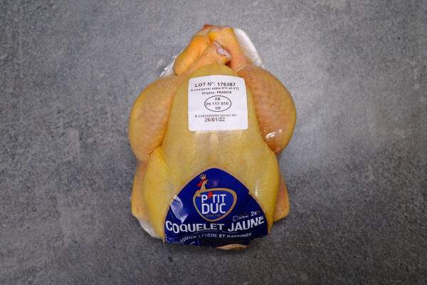 Franse Coquelet Jaune geel maishaantje
