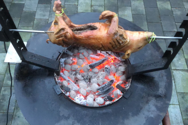 Iberico Speenvarkentje